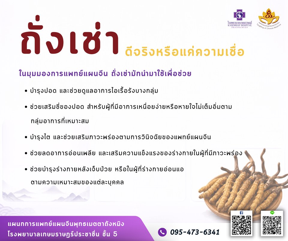 ถั่งเช่าดีจริงหรือแค่ความเชื่อ